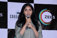 Celebs at Chadarangam Web Series Screening Press Meet
